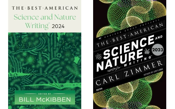 The covers of the 2024 and 2023 anthologies.
